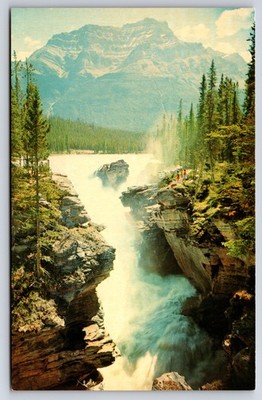 Athabasca Falls Jasper Alberta   Canadian Rockies National Park Scene