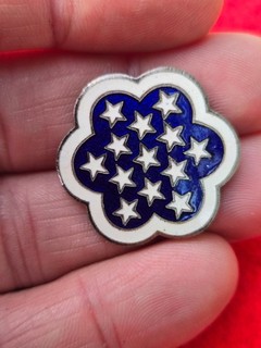 Vietnam War MAAG Military Assistance Advisory Group DUI DI Crest pin