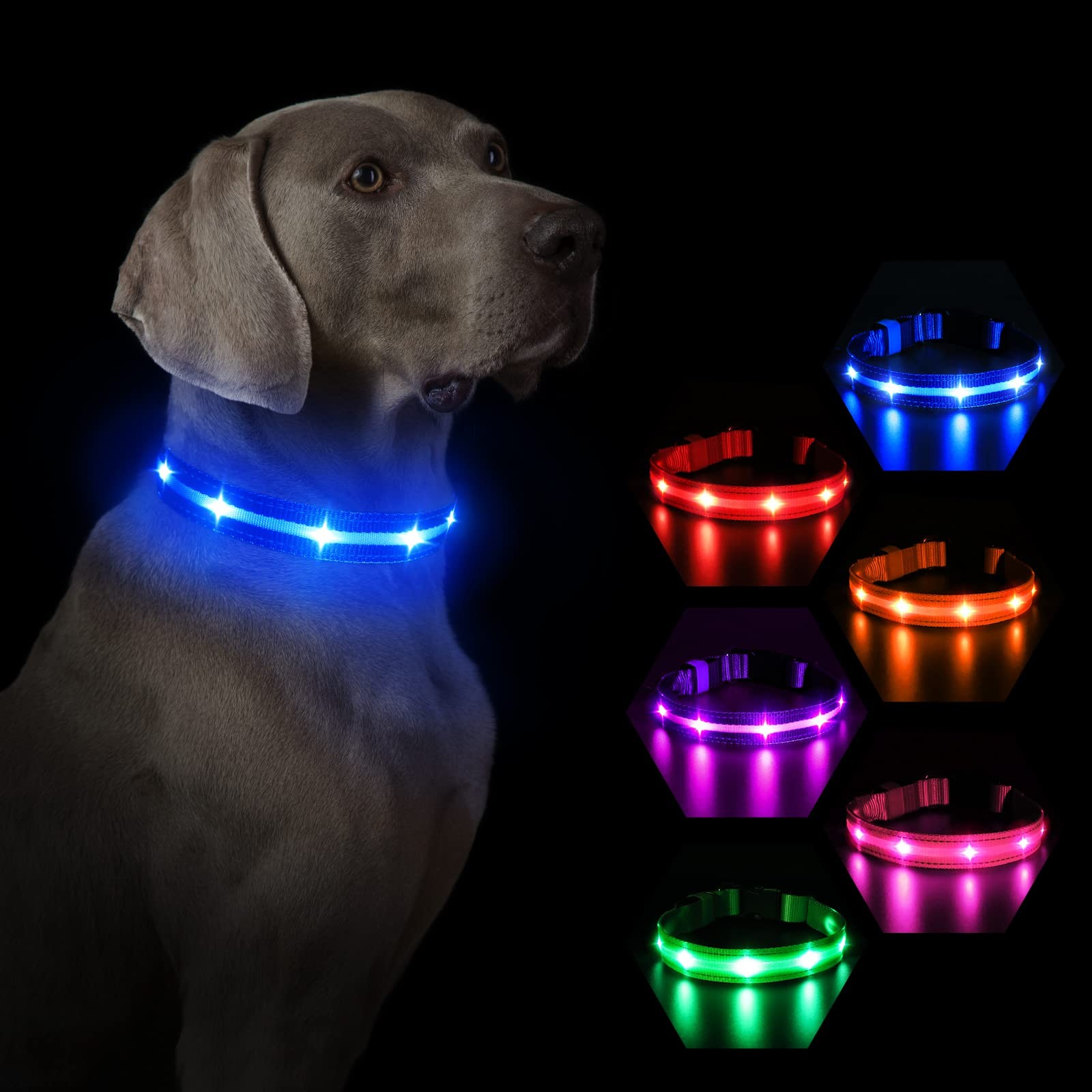 Collier lumineux pour chien pour ne plus perdre votre petit animal dans le noir