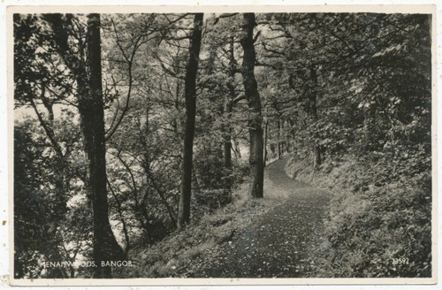 Menai Woods, Bangor, 1961 postcard - 第 1/2 張圖片
