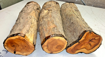 100-120 MM DURCHMESSER 3 STÜCK POSTEN 491A EIBE DRECHSELHOLZ ROHLING