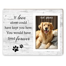 Itsoly Dog Memorial Picture Frame, Pet Sentiment Gifts 4X6, White