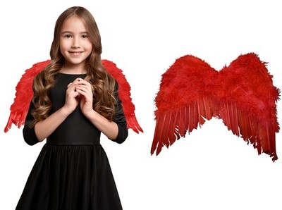 Child Mini Cupid Red Angel Devil Feather Wings Valentines Costume