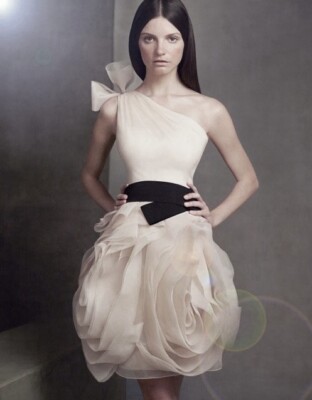 NWT White By Vera Wang bridesmaid dress In Champagne Size 4 | eBay
