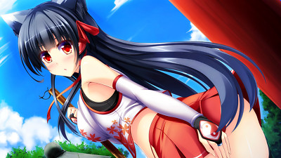 Anime cat girl cheerleaders girls long hair blue red Playmat Game Mat Desk