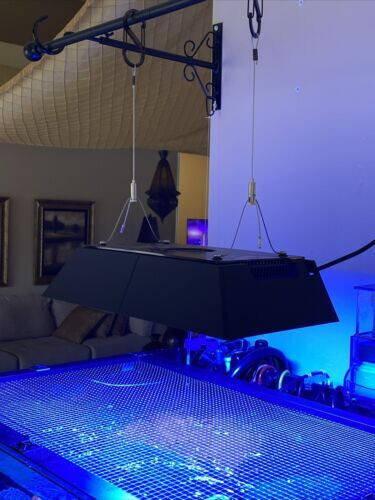 Ecotech Radion XR30 Shade - Picture 6 of 9