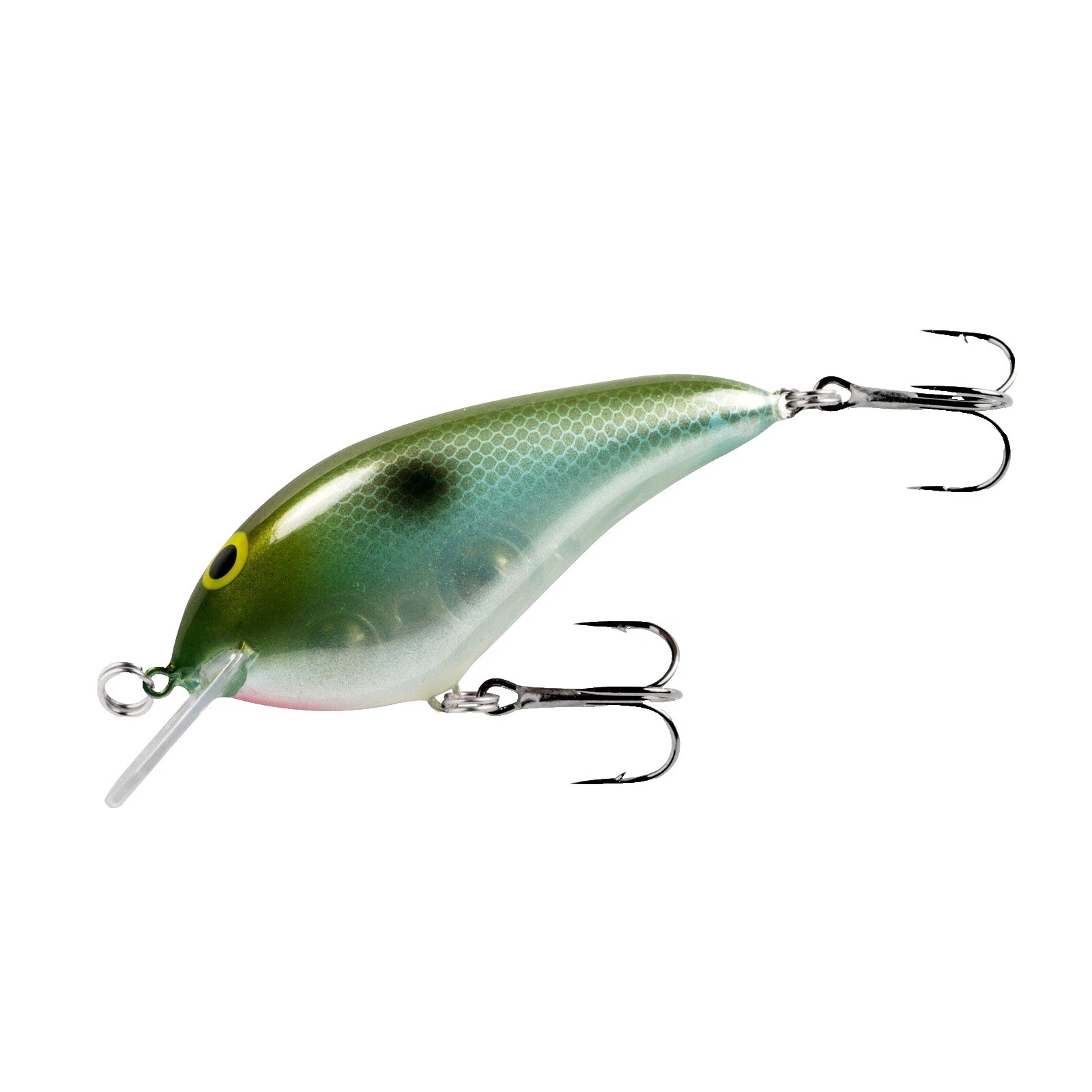 Norman Rainbow Trout Freshwater Fishing Baits, Lures & Flies