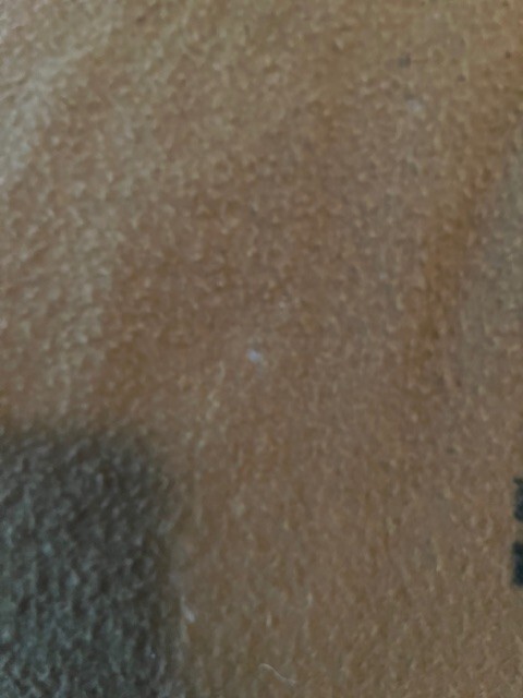 Picture 12 of 14