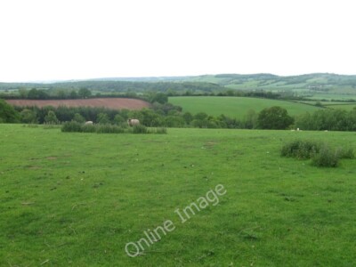 Photo 6x4 View north of Tremorithic Road, Abbey Dore  c2011
