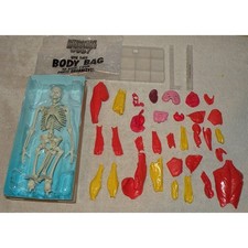 Interactive Human Body Be Amazing Toys