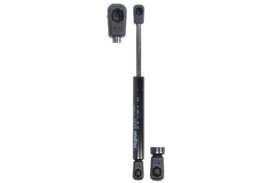 Magnum Technology MGS101 Gas Spring, door