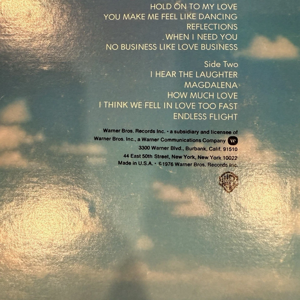 LEO SAYER Endless Flight BS 2962 Vinyl LP 1976 Original w/Inner Sleeve Foto 4 de 4