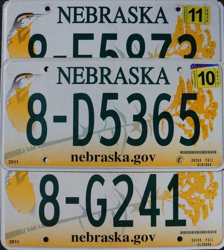 One Random NEBRASKA LICENSE PLATE - Yellow Bird Graphic Flat License Plate Tags