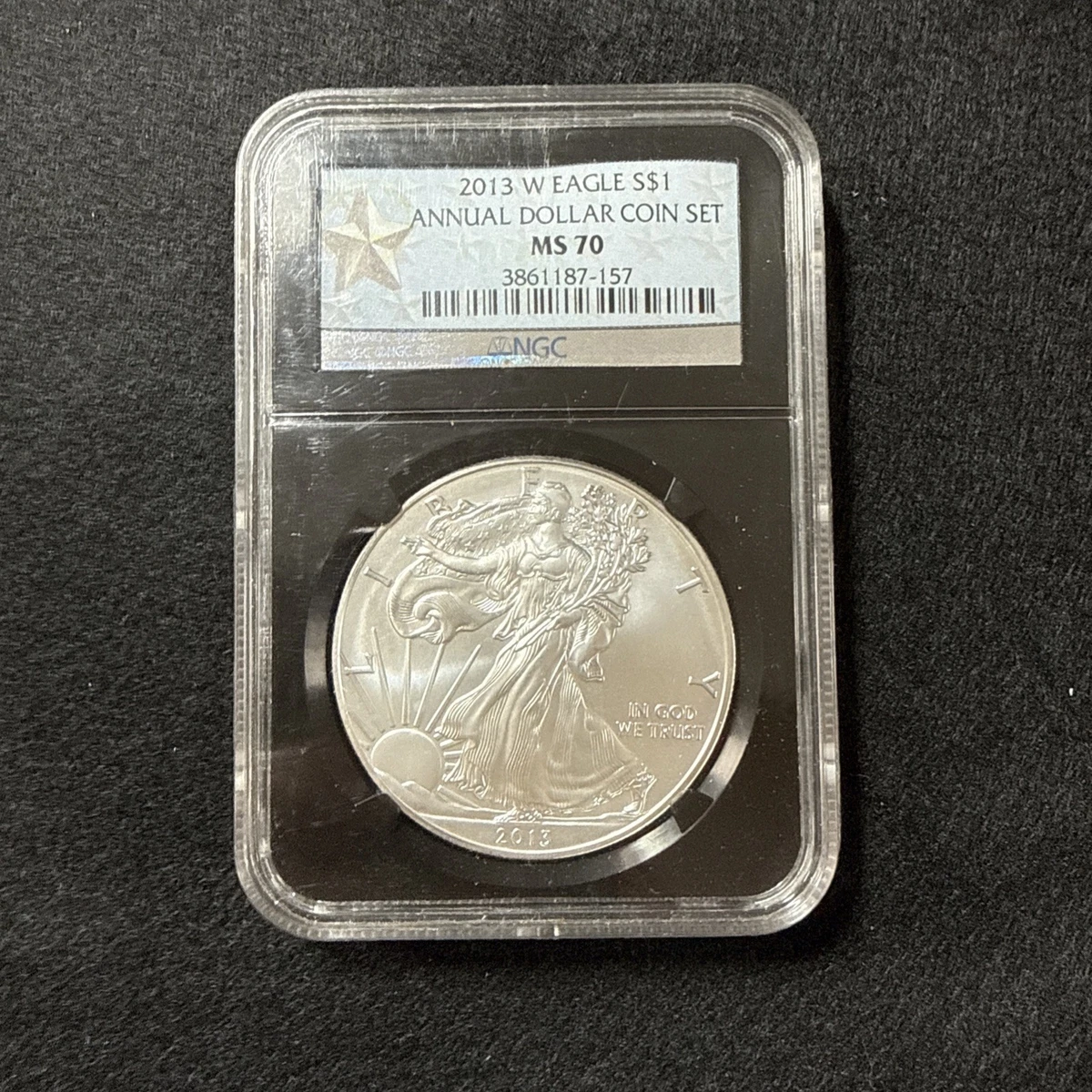 American Eagle MS 70 Graded 2013 Silver Bullion Coins for sale | eBay