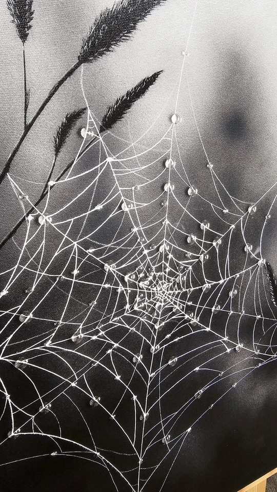 Arte de pared de tela de araña de 12" X 18", tela de araña gótica dolor único lienzo envoltura de giclee Foto 4 de 4