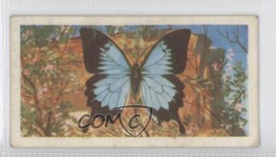 How to enter a bond butterfly trade on the platform