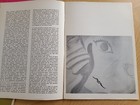 Foto 3 di 3