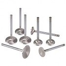 Super Duty Stainless Steel Intake Valve 2.02 In Std. Length