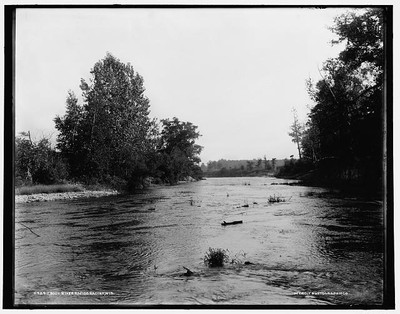 Root River rapids,water bodies,Racine,Wisconsin,WI,Detroit Publishing Co,1880