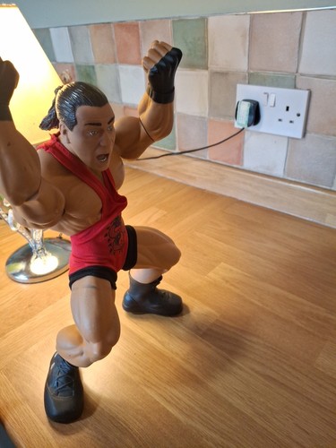 JAKKS WWE RING GIANTS ROB VAN DAM 14" AZIONE POSABILE sciolto 2006 - Foto 24 di 24