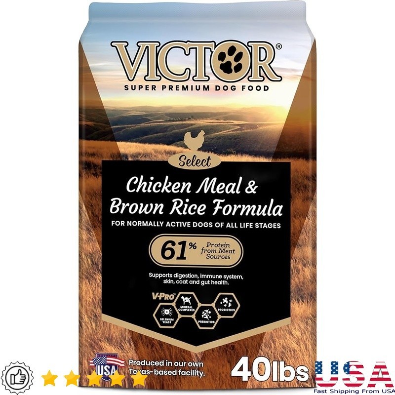 All Life Stages High Protein Gluten Free New
