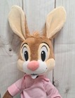 Foto 5 di 5