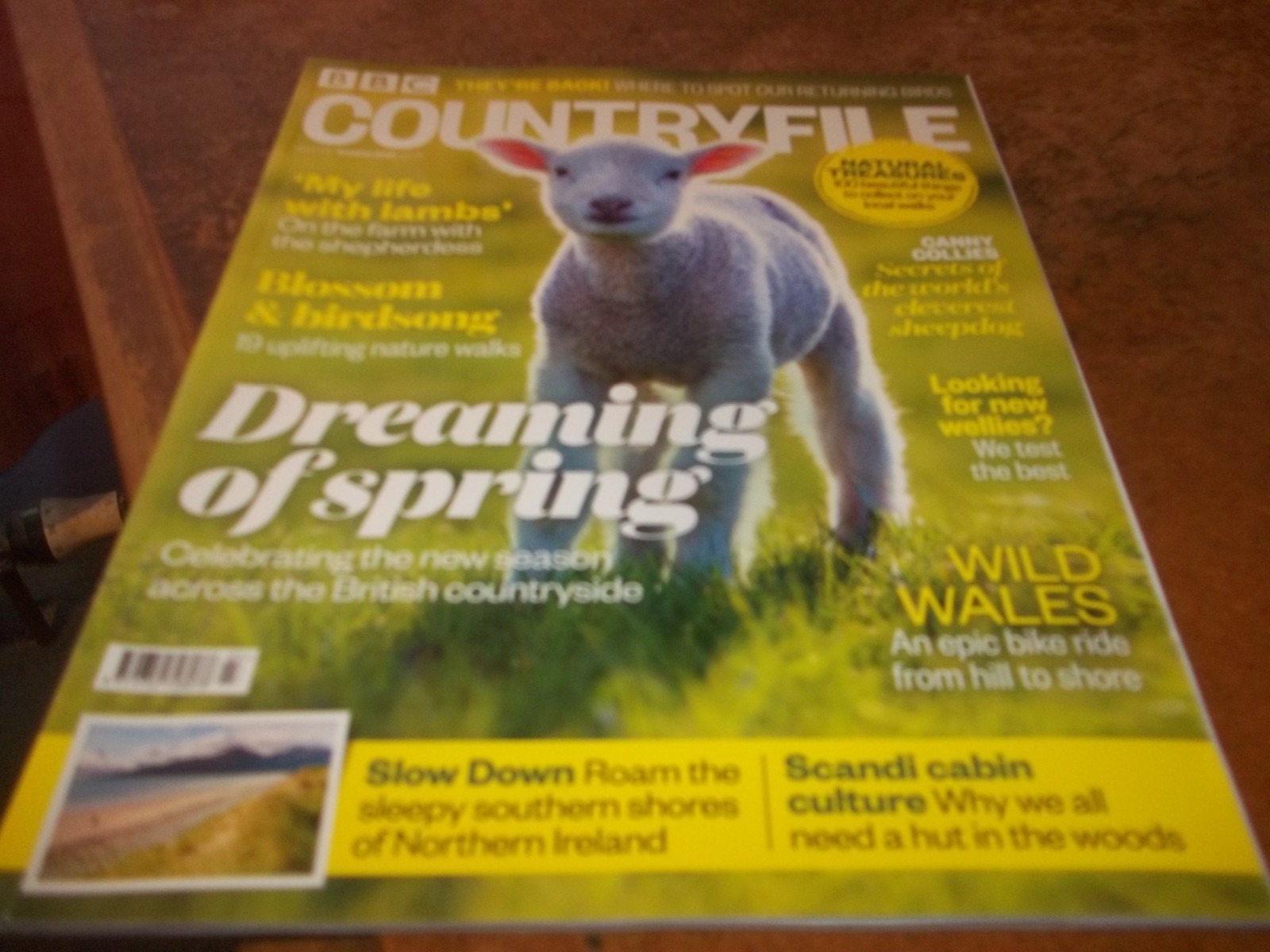 BBC Countryfile Magazine No 174 March 2021 VGC Free Post Dreaming of Spring