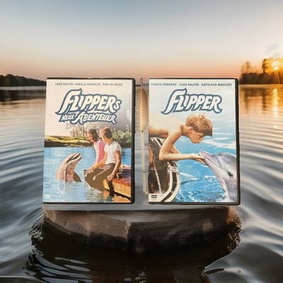 Flippers Neue Abenteuer und Flipper DVD  Wie Neu! Aus Sammlung Auflösung