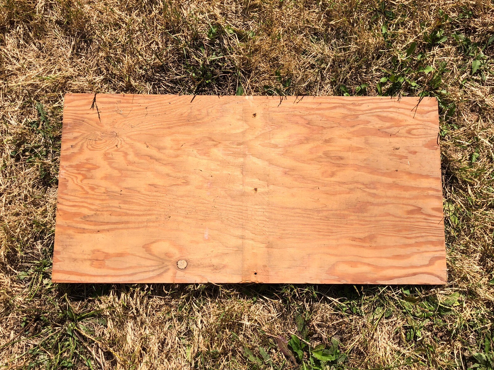 Picture 4 of 4