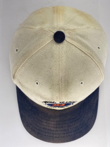 VTG Detroit Tigers Spring Training Lakeland FL StrapBack Hat American Needle MLB - Picture 8 of 18