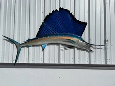 84" Sailfish Half Fish Mount Replica  - In Stock & Ready to Ship