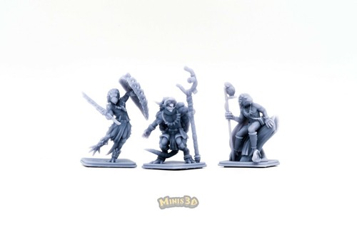 Draconian: Ranger, Wizard, Warrior - HQ- Minis3D - 第 1/14 張圖片
