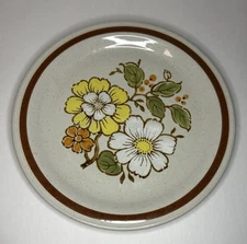 VTG Retro Imperial Stoneware W.M. Dalton H-1001 Summertime Dinner Plate 10.5”