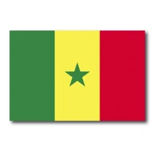 Senegal Senegalese Flag Car Magnet Decal - 4 x 6 Heavy Duty for Car Truck SUV