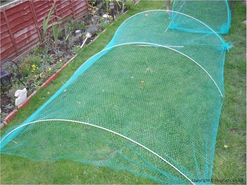 Easynets Flexible Large Garden Cloche - Bild 5 von 8
