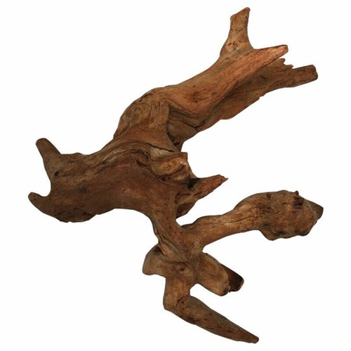 Natural Aquarium Driftwood Assorted Branches Reptile Ornament Fish Tank Decor - Picture 9 of 16