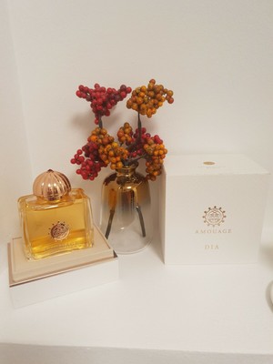 Amouage Dia Woman 100ml Eau de Parfum | eBay Amouage Dia Woman Eau de Parfum Nat. Spray 50 ml