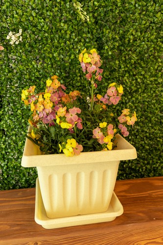 Plant Pots Saucers Square Drip Water Trays Plastic Indoor Outdoor Garden Large - Picture 46 of 70