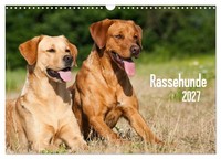 "Calendar 2027 · US Version · Pedigree Dogs (Wall Calendar 2027 17\" × 12\" Landsca"