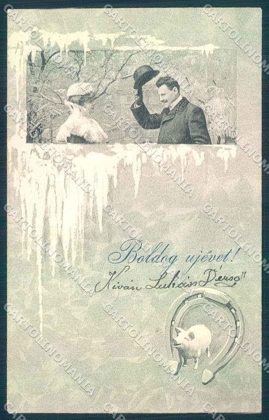 Cartolina cartolina Capodanno Maiale Ferro di Cavallo Uomo Signora serie 8049 TW1451