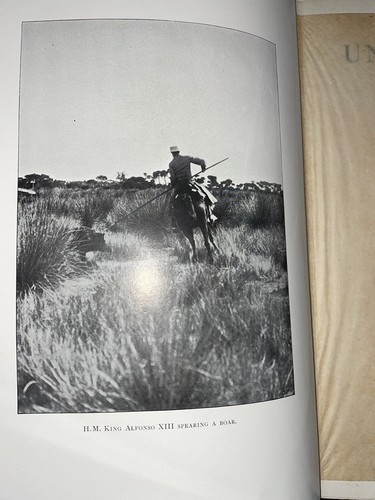 Unexplored Spain 1910 Abel Chapman Waterfowl Duck Game Ducks Bird Hunting Europe - Picture 4 of 14