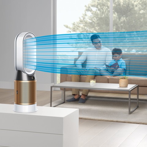 Dyson Pure Hot+Cool Cryptomic™ (HP06) Neuwertig | eBay.de