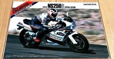 [Super rare] HONDA NS250R SPECIAL EDITION '85 double title victory
