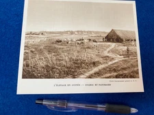 Guinea ABSTRACT CUTTING OR BOOKPLATE  ART DECO ERA  1928