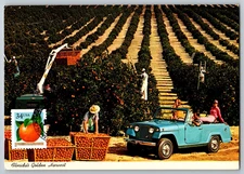 #3494 Orange Maxi Card