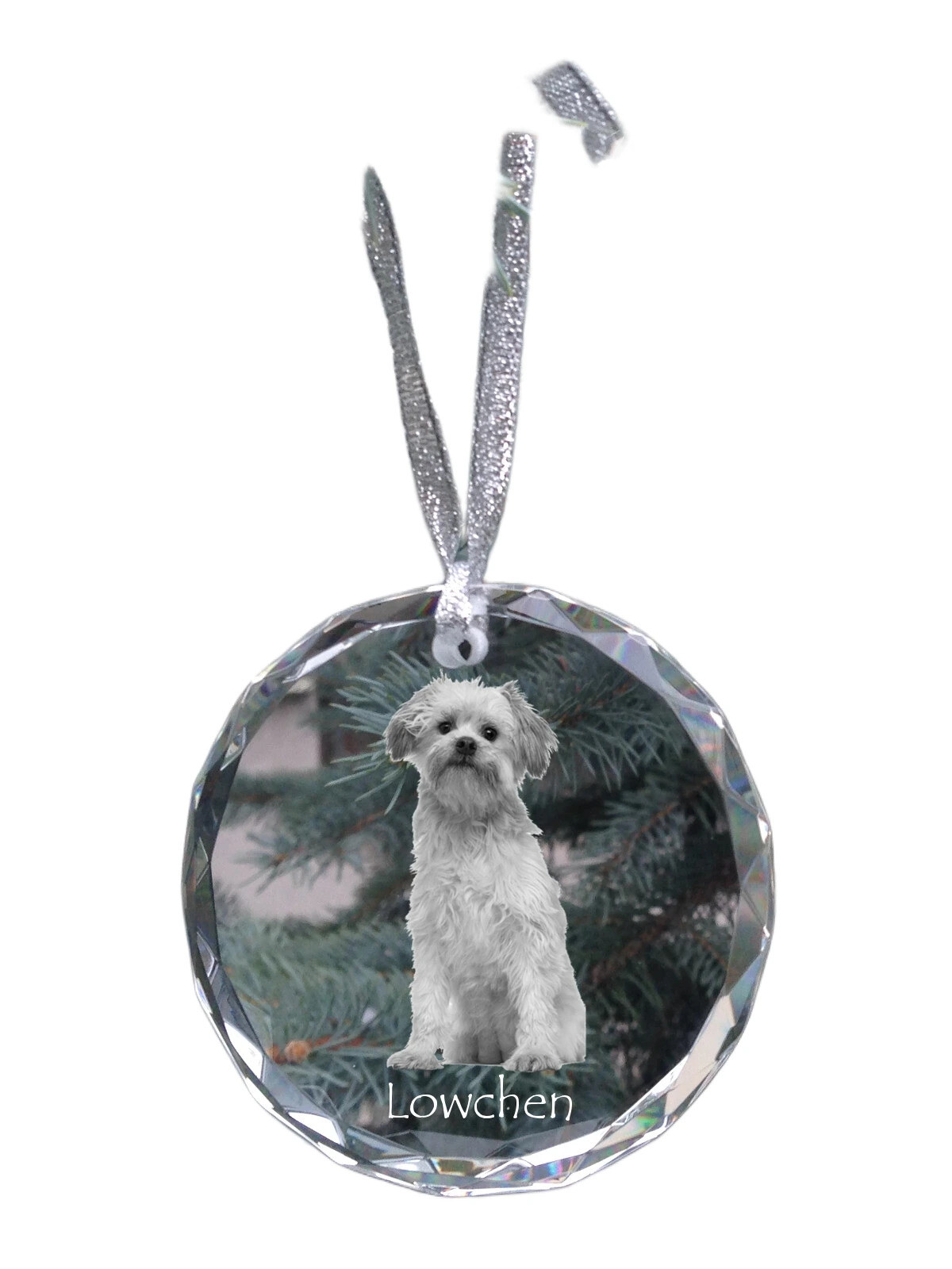 Löwchen - Crystal Ball With Photo, Dog Image In Crystal, Personalized Christ