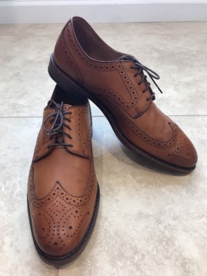 Allen Edmonds 'Madison Park' Wingtip, Size 9 D, Brown, Retail $385