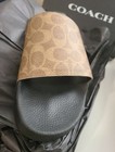 Size 12 Coach Men's Limited Edition Logo - Khaki 12 D — photo 6