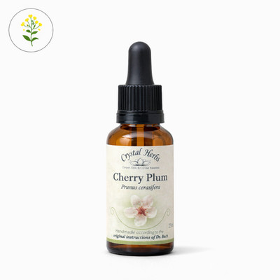 Cherry Plum - Bach Flower Remedies