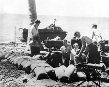Marines digging in on Beach Guadalcanal World War II WWII WW2 8x10 Photo 731c